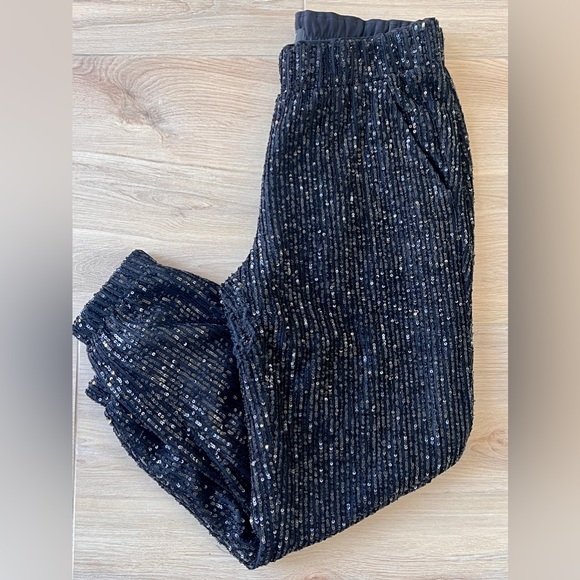 LOFT Pants - Loft Sequin Joggers